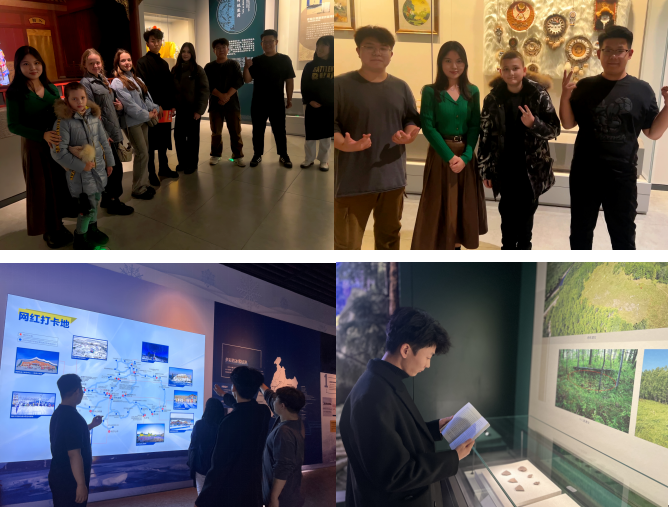 图片3.png 图片3.png